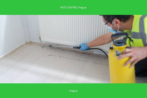 PEST CONTROL Prague